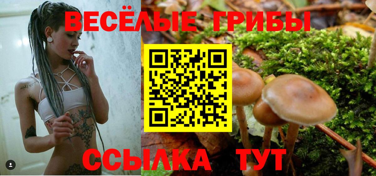 Галлюциногенные грибы Magic Shrooms  Галлюциногенные грибы Psilocybine cubensis  Кызыл  Вход с VPN 