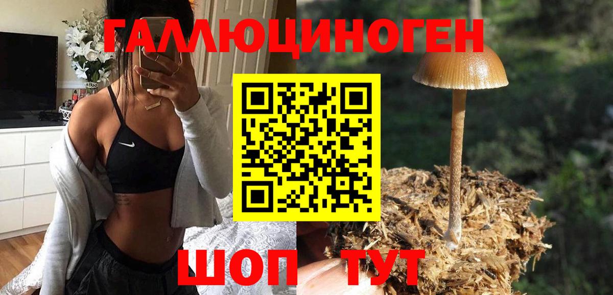 Псилоцибиновые грибы мицелий Кызыл